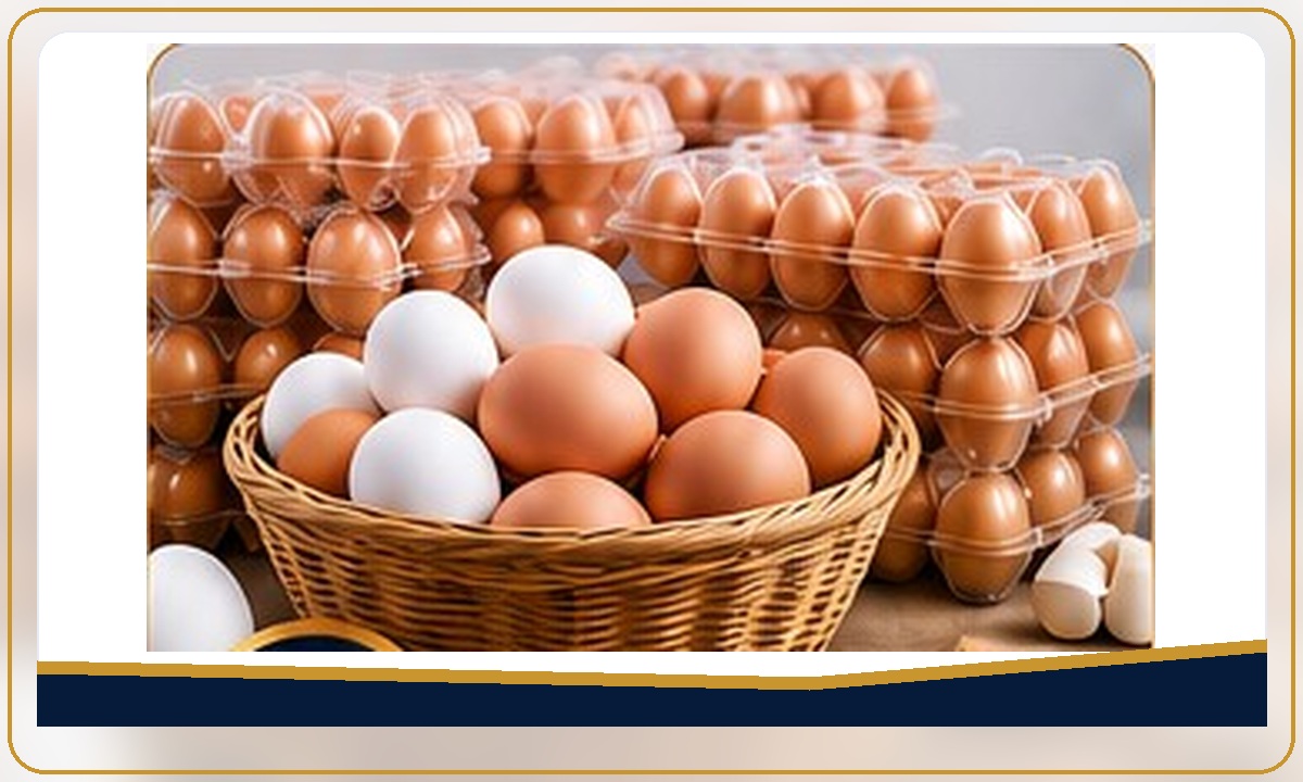 Egg trading